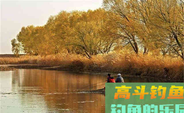 寒露之后钓鱼，路数上有4钓4不钓