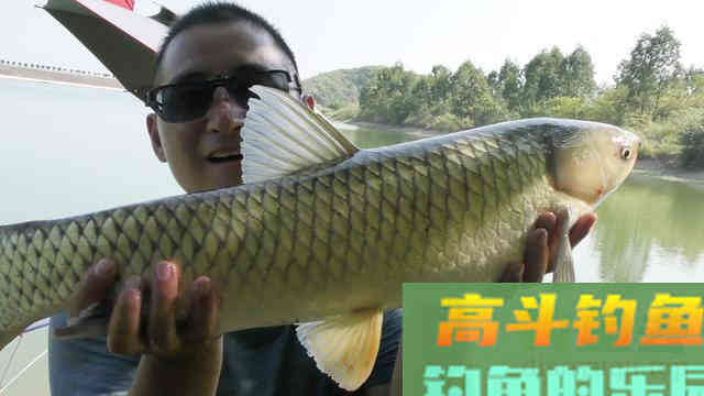 浅谈秋季野钓攻略，饵料不难找套路要用好