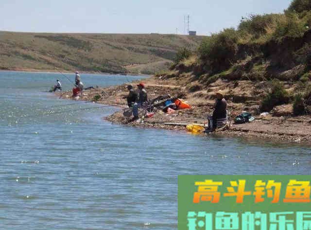冬天不同天气钓位的选择，掌握后每天都可以钓