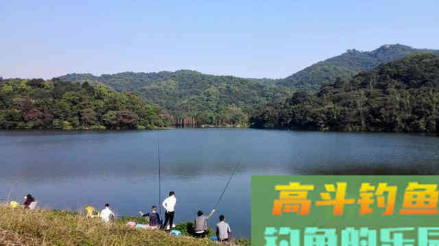 盛夏钓鱼，想要渔获，唯有做到见鱼思迁
