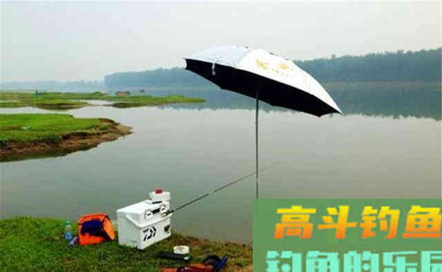 过了秋分别死守深水了，这个阶段大鱼靠边