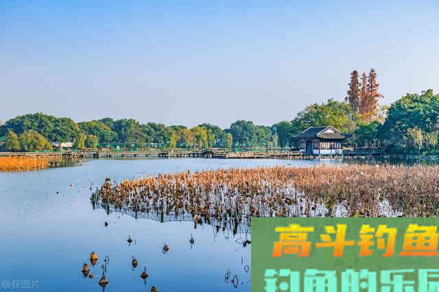 冬季钓鱼，选对了水深，狂拉鲫鱼并不难