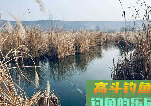 冬钓用多长的竿最合适，想要钓到大个体的鱼都有哪些技巧