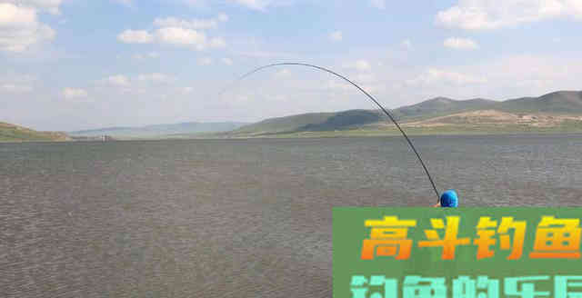 冬钓照搬下面的2个方法，在冬天也能钓上大鱼