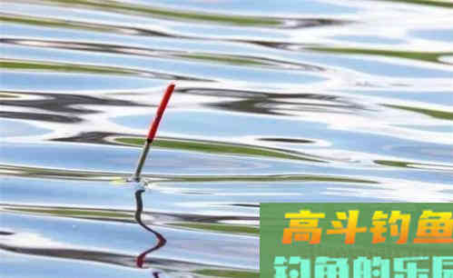 春钓想要渔获好，三勤二不一注意，据说照做了爆护不难