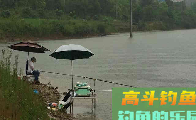 秋季钓鱼，什么天气最可能爆护