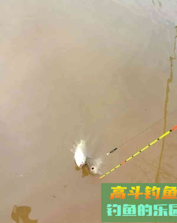 钓鱼人的春天，小钩细线享清欢。