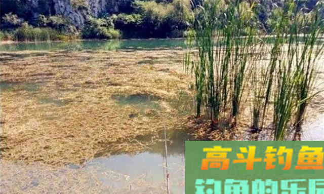 冬钓选钓位，就选这四个位置，天气越冷越聚鱼