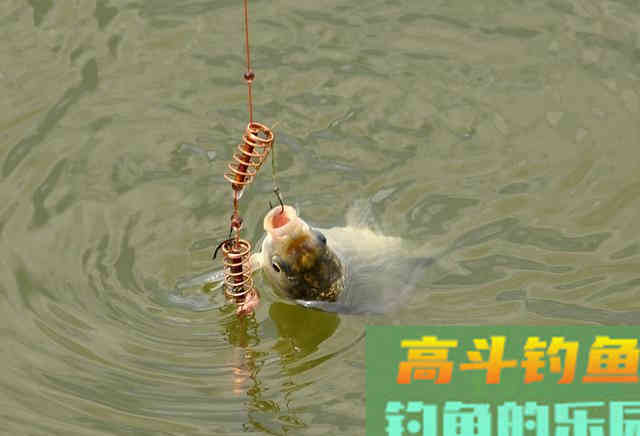 冬季垂钓的核心技巧，无外乎饵料·钓法和钓具这三方面
