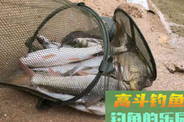 夏天到，鱼难钓？那是你没找到这3个风水宝