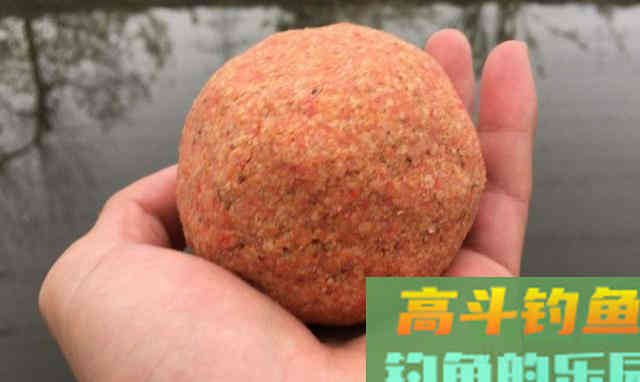 秋天正是钓鱼黄金季，此时你怎么爆护呢