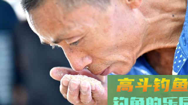 夏季开饵：果酸小药的5种用法