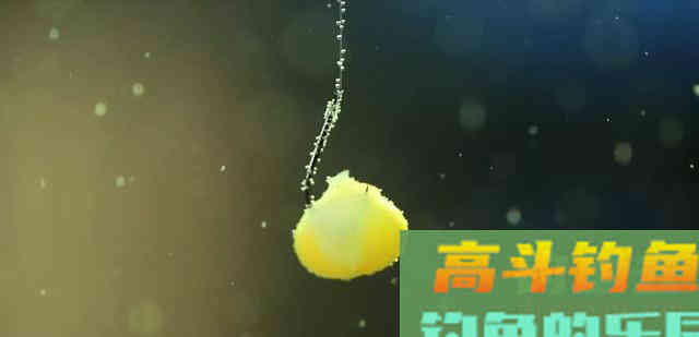 冬天钓鱼，荤饵、商品饵、素饵，哪个上鱼效果最好