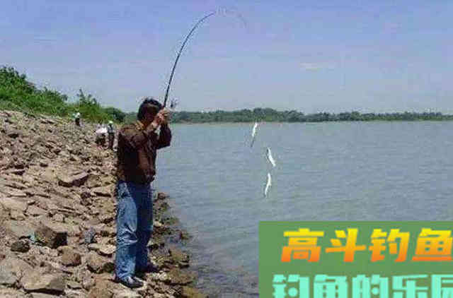 冬钓鲫鱼爆护钓法，白虫虾饼加串钩，能钓一天不停竿