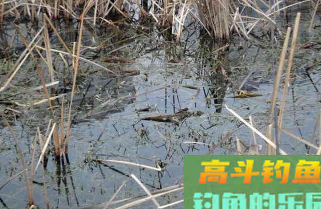 寒冬去这里钓鱼，收获不比秋天少