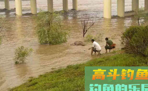 夏季降雨增多，河流涨水后该如何垂钓