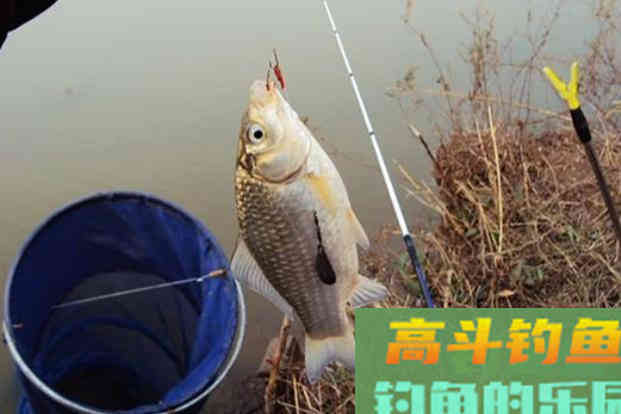 寒冬去这里钓鱼，收获不比秋天少