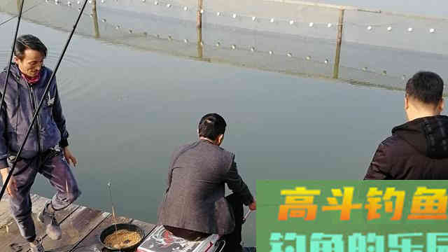 晚秋如何钓好混养塘，先做好这七点