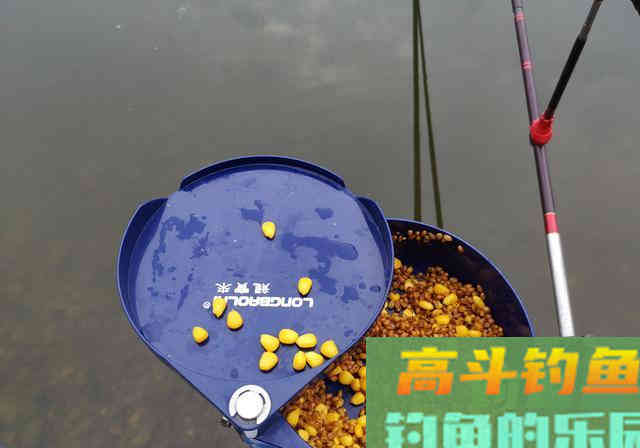 秋季降温钓鱼难？巧用水质4点变化，反让大鱼狂咬钩