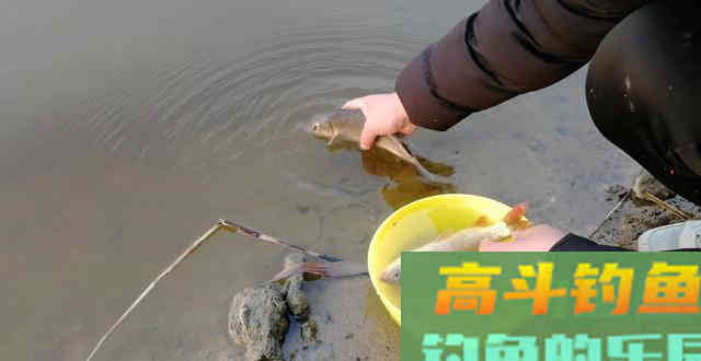 春钓浅滩钓位这样选，钓鱼更容易，渔获起码翻一倍