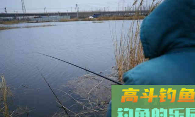 钓鱼遇到倒春寒，应该怎么办？通过这几个方法解决