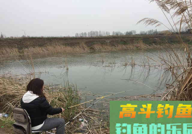 冬天鱼不开口怎么办？三个因素出了问题，三招来应对