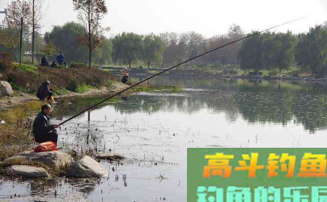 老钓友分享秋钓武昌鱼的三大技巧