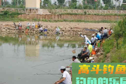 冬天的鱼躲哪去了？冬季野钓还是要靠人找鱼