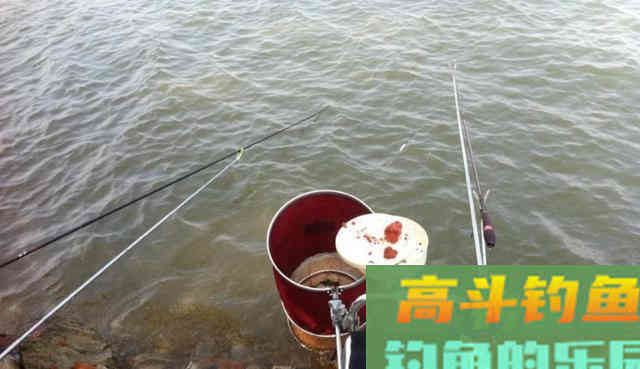 初夏不钓大鱼，我偏爱这些小型鱼