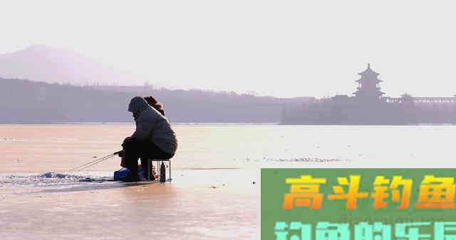 冬天不同天气钓位的选择，掌握后每天都可以钓