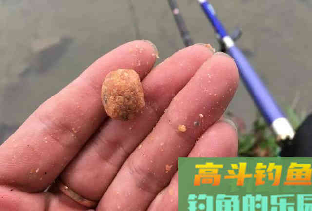 天气越冷鲫鱼咬钩越积极，只要做好这3件事