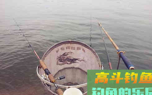 冬季要钓小水域？其实只要找对地方，大水域也有鱼可钓