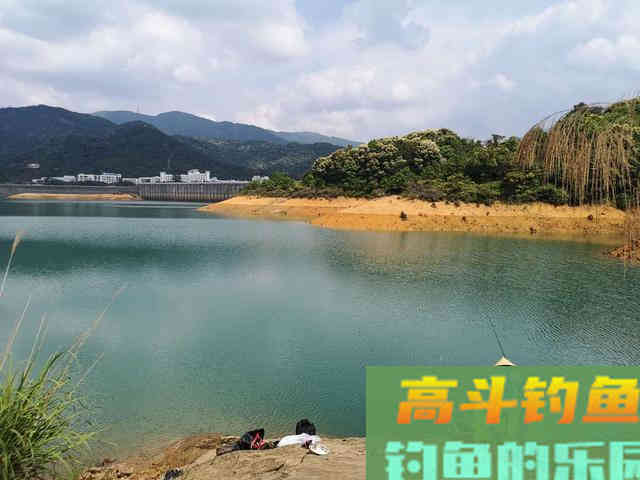 夏钓爆护秘诀：不同时段选不同目标鱼，老野钓人经验分享