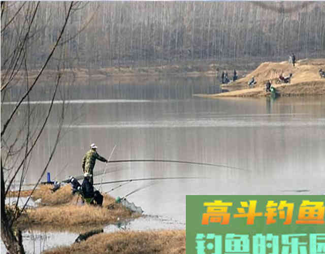 冬天钓鱼选这三个位置，十之八九会打龟