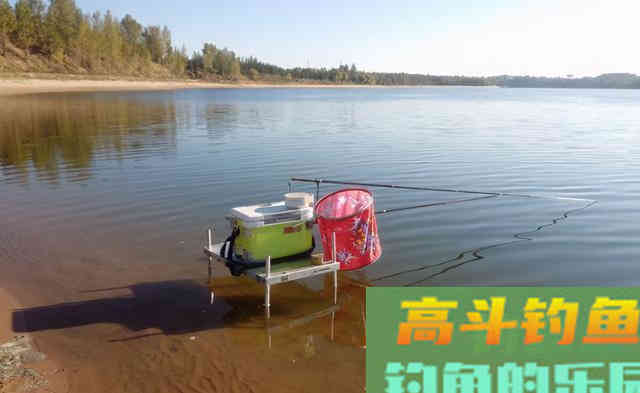 春季水库钓鱼，应该 守 还是 走