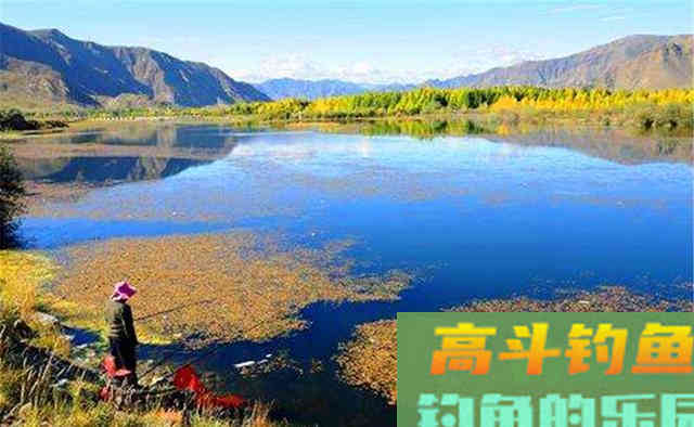 冬季钓鱼，先别着急下竿，两大策略帮你找到鱼窝