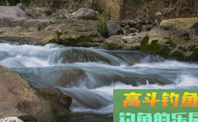 夏季低压天钓鱼，不想剃光头，熟记这4招