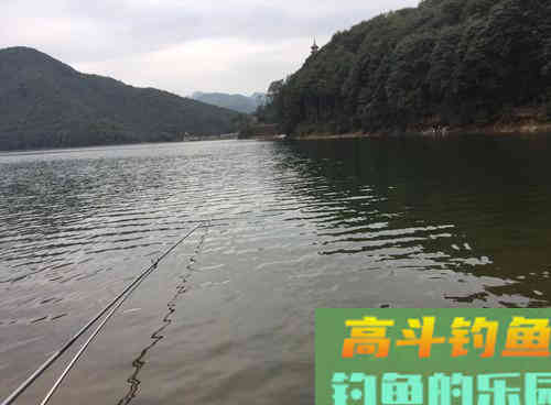初春野钓停口问题出在哪？解析初春野钓三大技巧