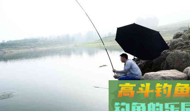 夏季钓鱼，要掌握这四个技巧