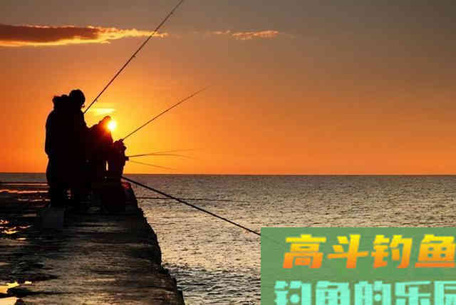 立冬后钓鱼如何不空军？老钓友总结的经验来了