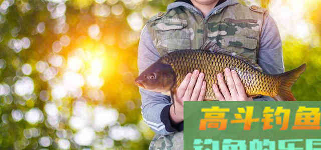 上鱼手感温热，渔获会更好？别轻信，秋冬钓鱼要另选3个时机