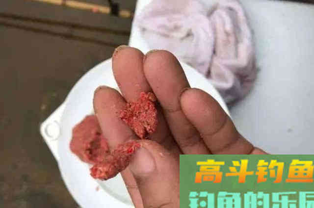 夏钓只要有这套用饵方式，不管在哪都能过把瘾