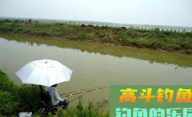 秋季钓鱼，什么天气最可能爆护