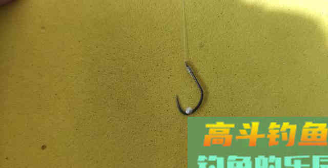 做好冬季钓鱼的关键因素，远比保暖还重要