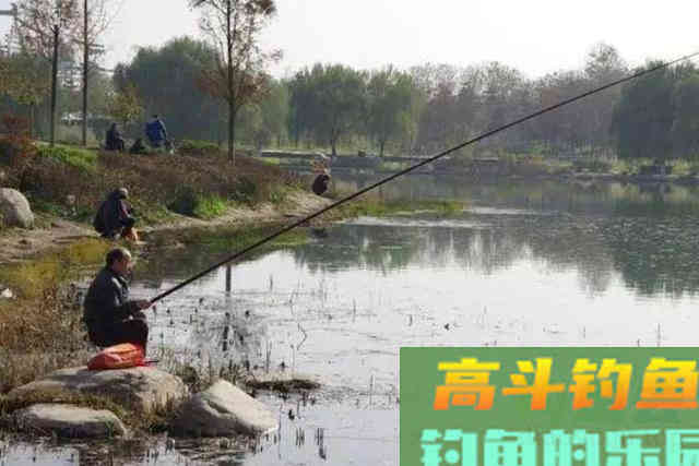 还在怀疑冬天的鱼不好钓？多数因为这3大误区惹得祸
