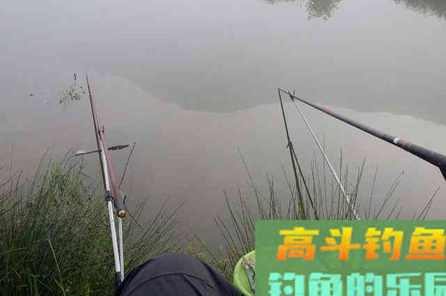 秋季湖库钓鱼，掌握这6心得，多半能钓到鱼
