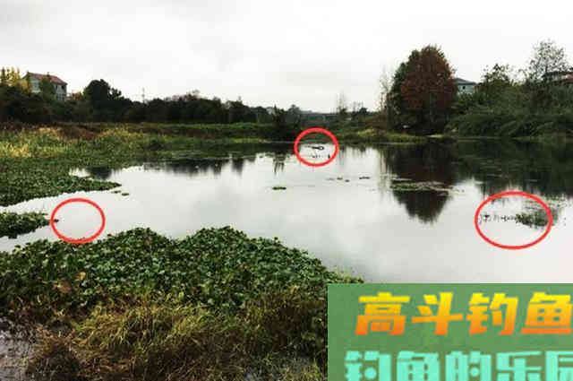 冬季钓鱼，除了深水区，这几个区域也藏鱼