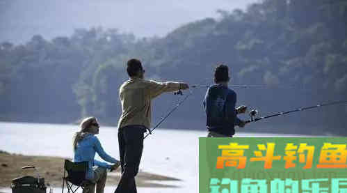 冬天的鱼躲哪去了？冬季野钓还是要靠人找鱼