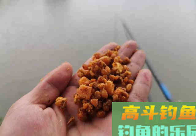 夏天鱼也怕热，别再傻坐一整天，野钓记住这五不钓