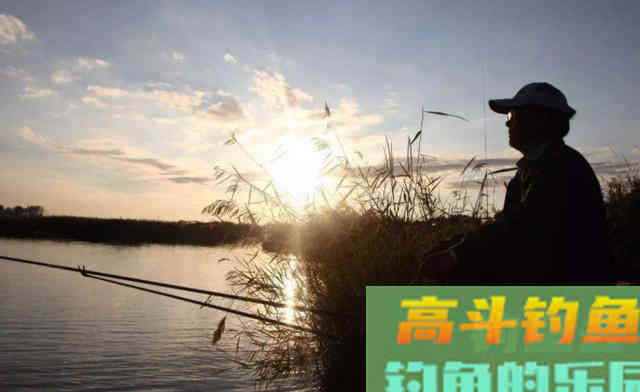 冬季出钓，要知道鲫鱼的吃饵特点，知道何时提竿